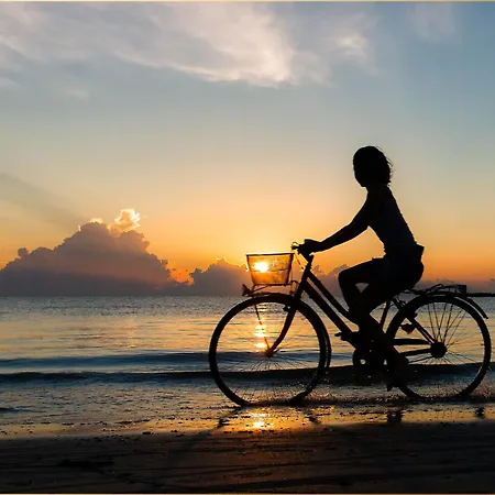 Waldsiedlung Moewenkoje